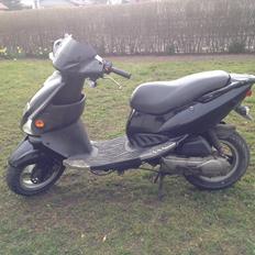 PGO Dr. Big (Dr. Black)