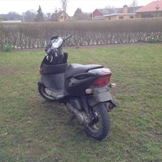 PGO Dr. Big (Dr. Black)