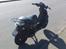 Peugeot Squab the skull