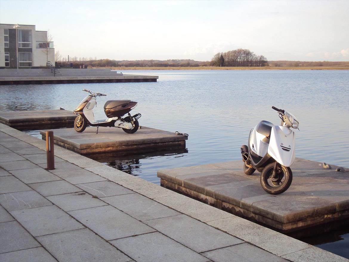 Aprilia Sonic billede 6