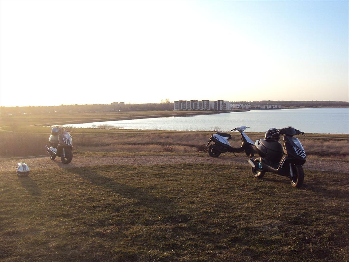Aprilia Sonic billede 10