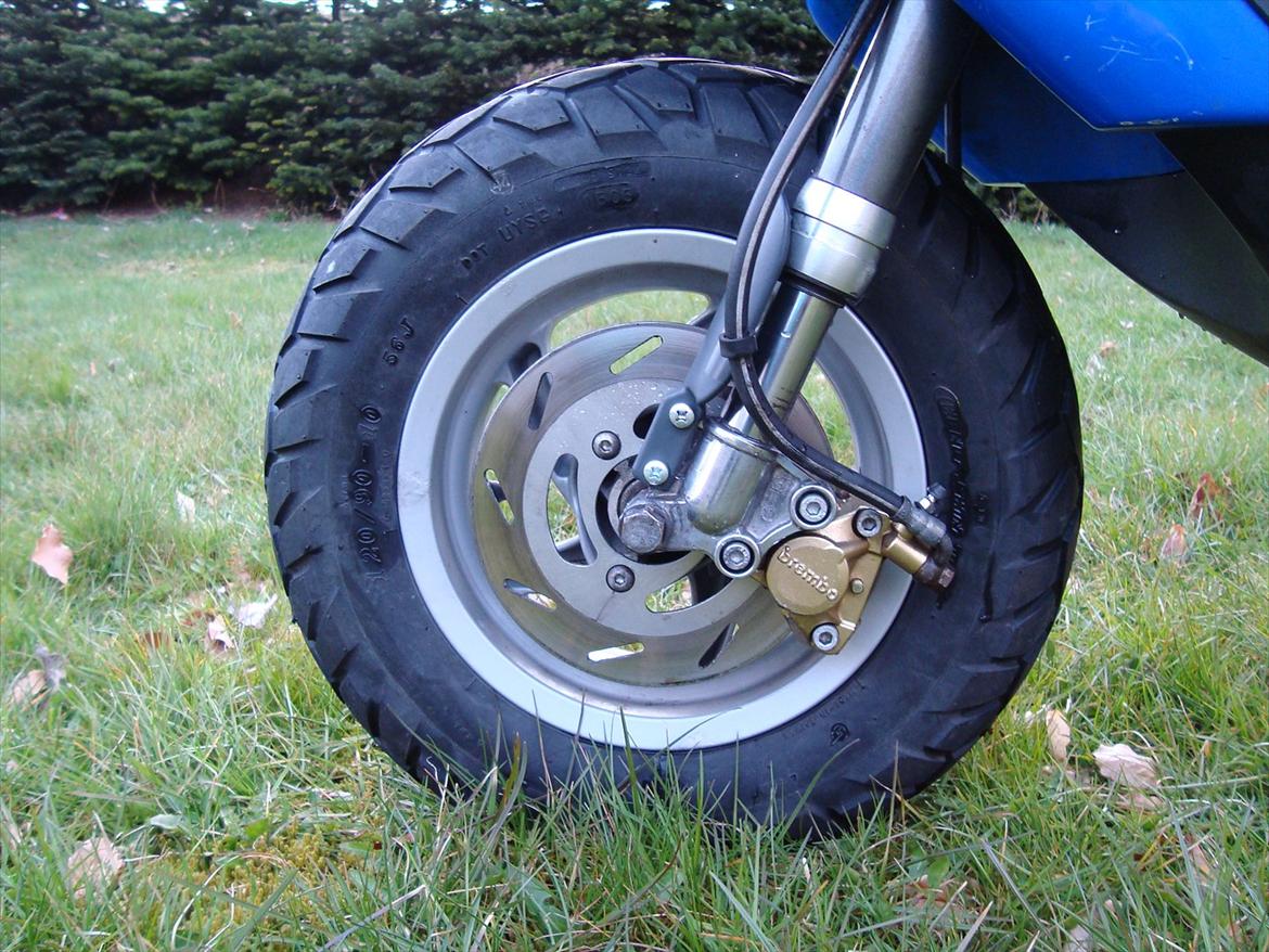 Gilera stalker billede 10