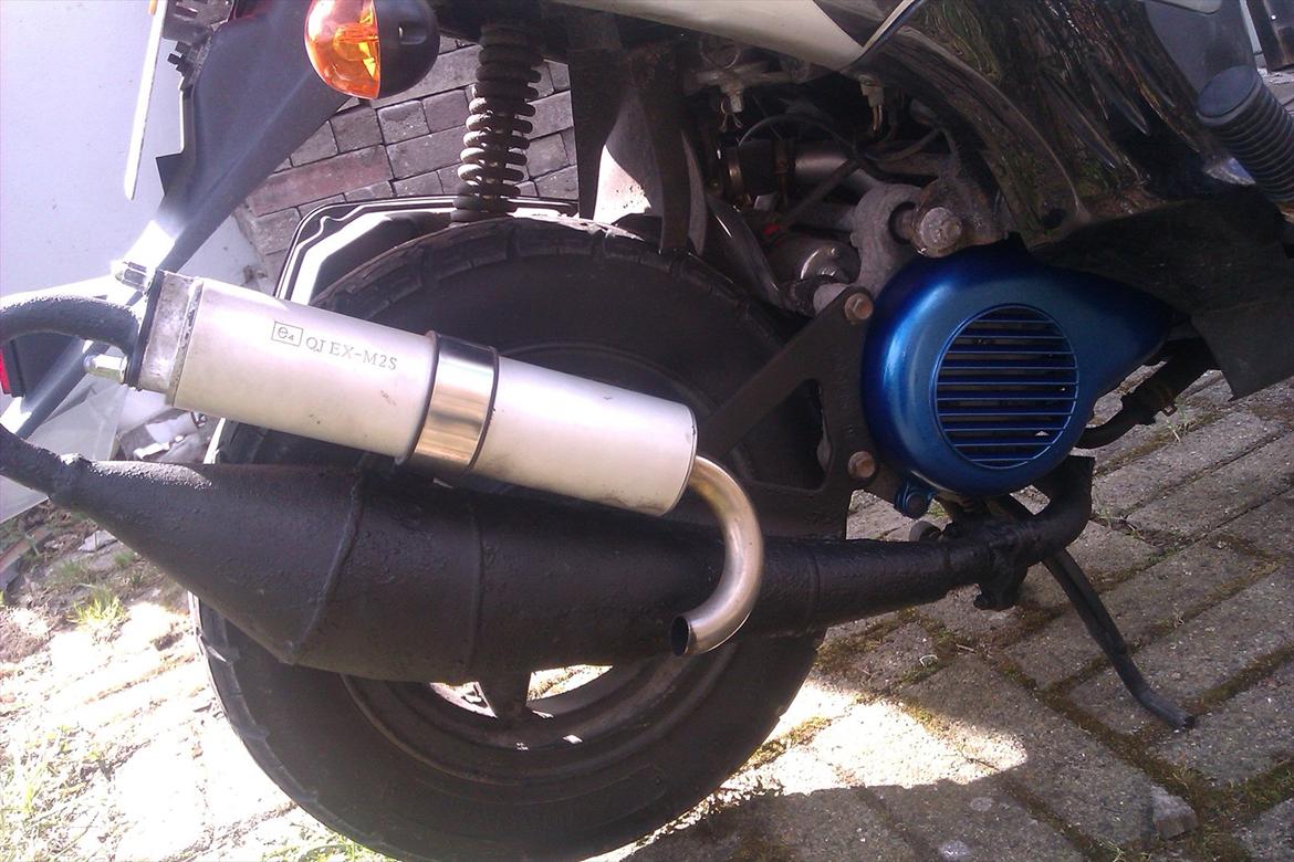 Leone swan billede 13