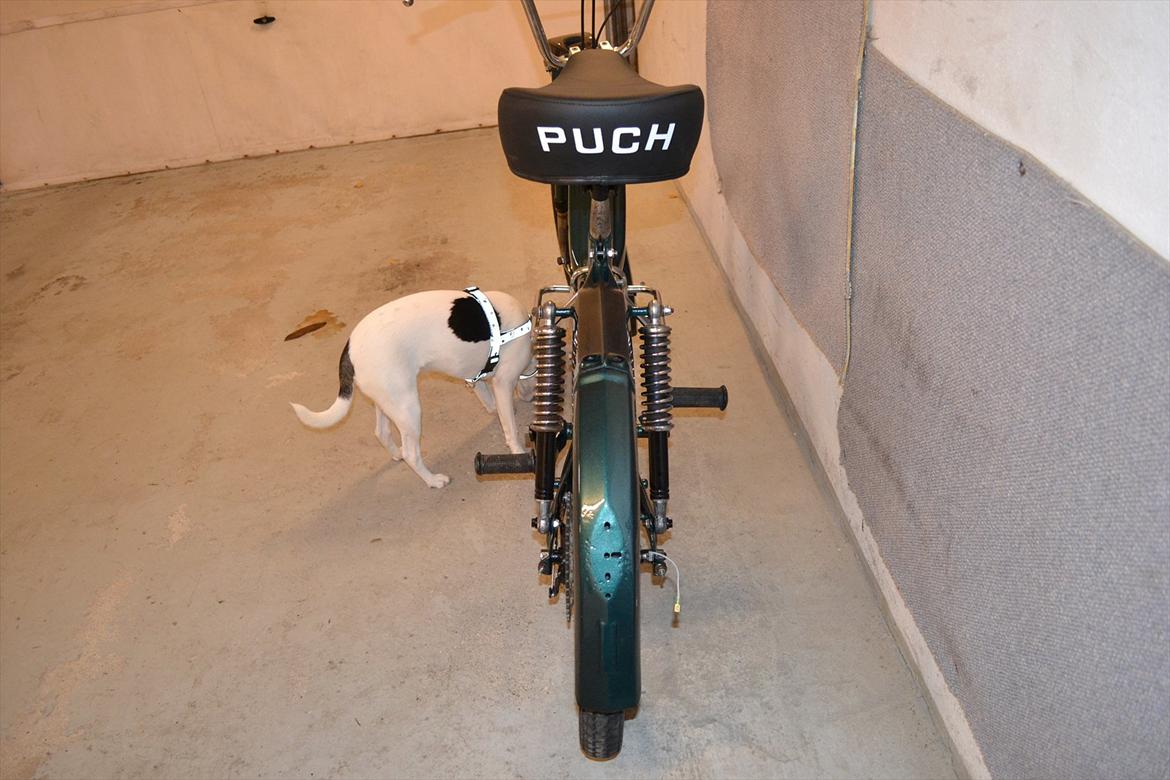 Puch Maxi KL billede 4