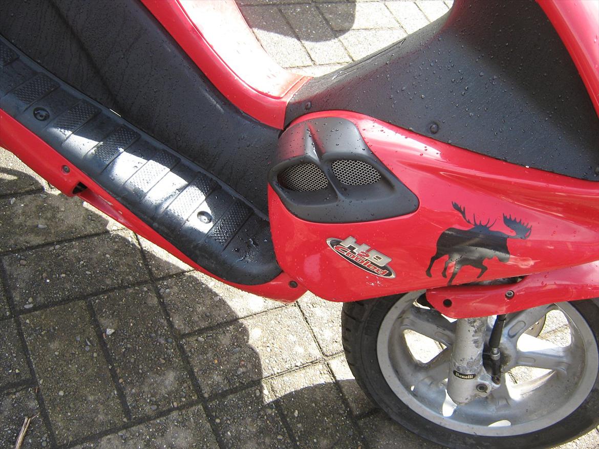 Benelli 491 lc dd solgt billede 7