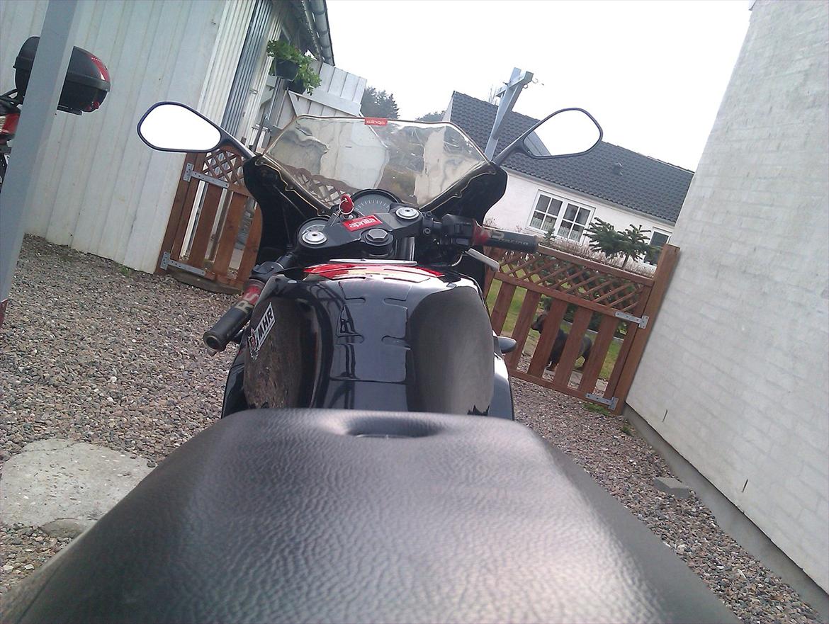 Aprilia RS50 billede 10