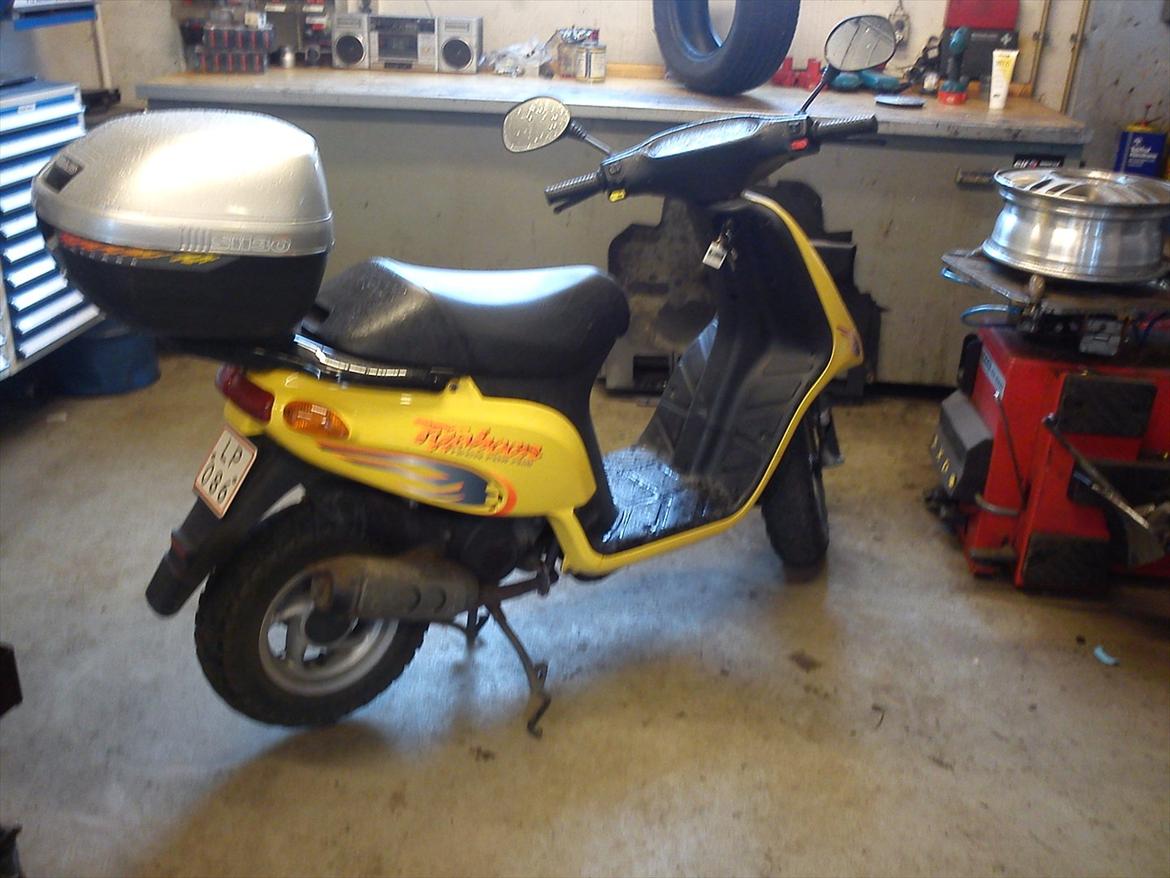 Piaggio typhoon solgt billede 2