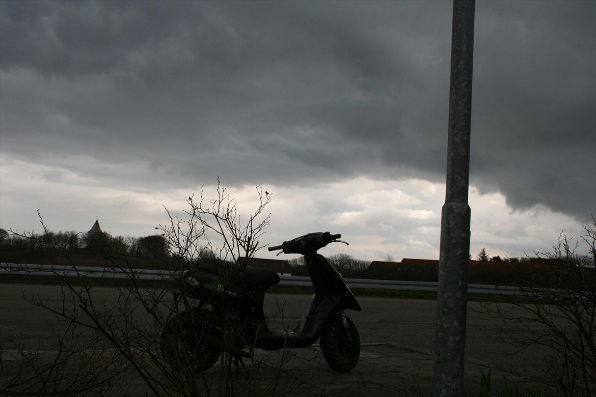 Piaggio Typhoon (turbo tøffen) monster edition billede 3