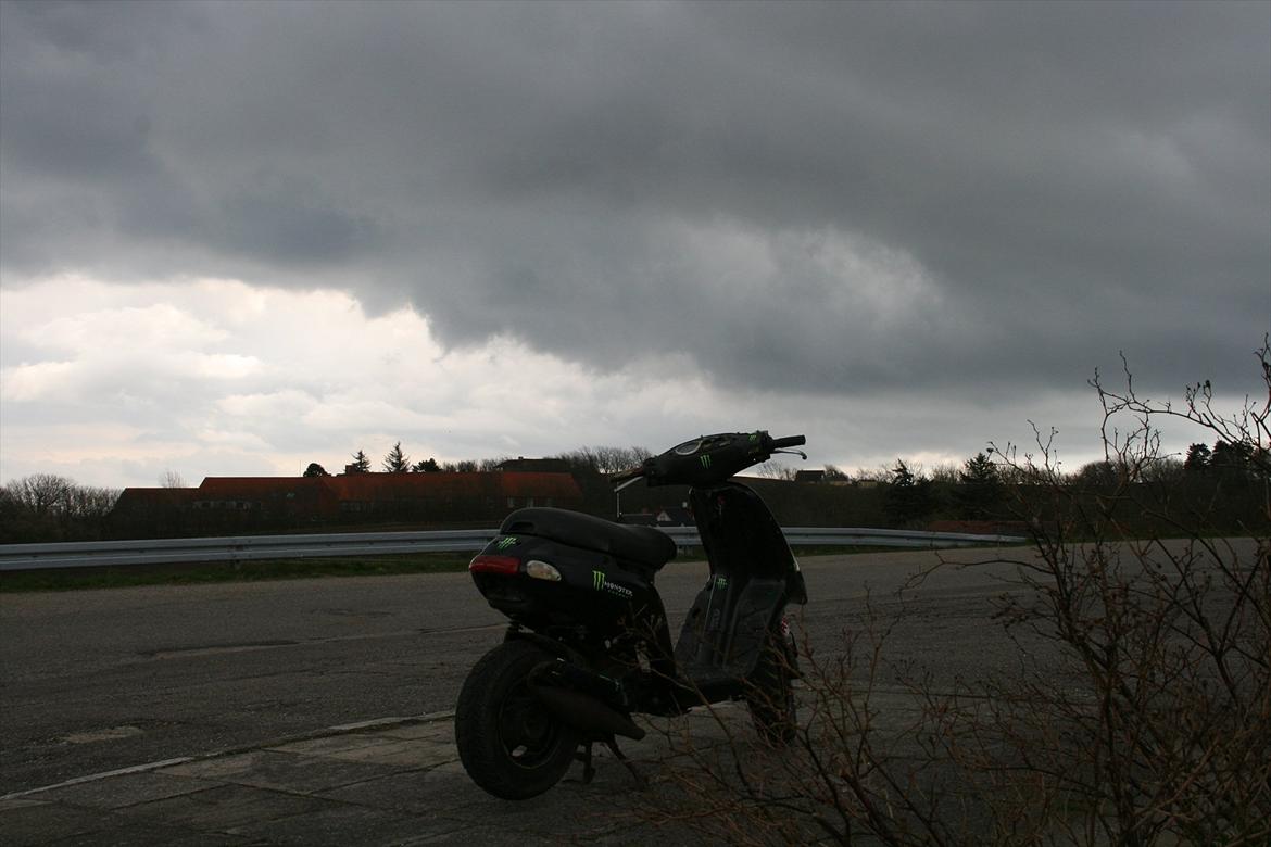 Piaggio Typhoon (turbo tøffen) monster edition billede 4