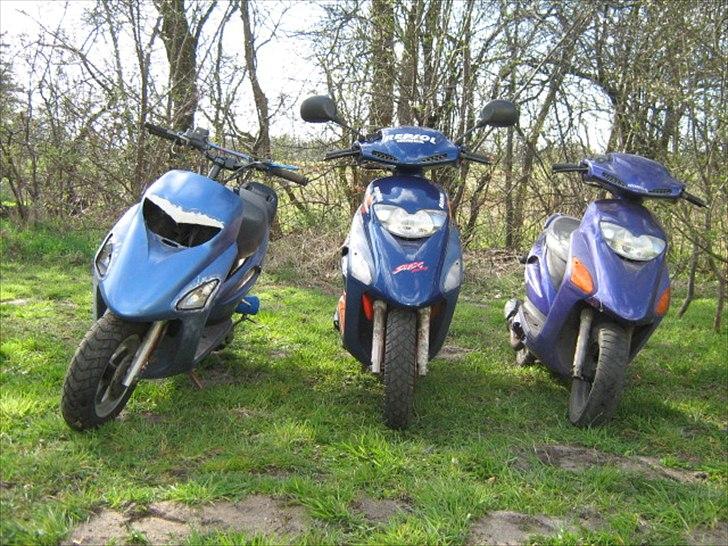 Honda SFX - TJT - Gruppe foto :) billede 4