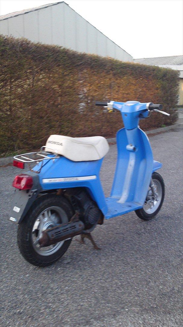 Honda Mini Melody  billede 2