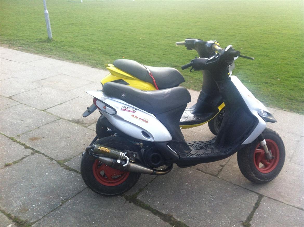 Piaggio New Zip Lc  billede 11