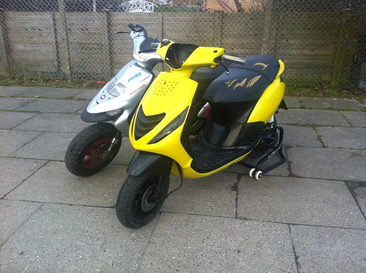 Piaggio New Zip Lc  billede 13