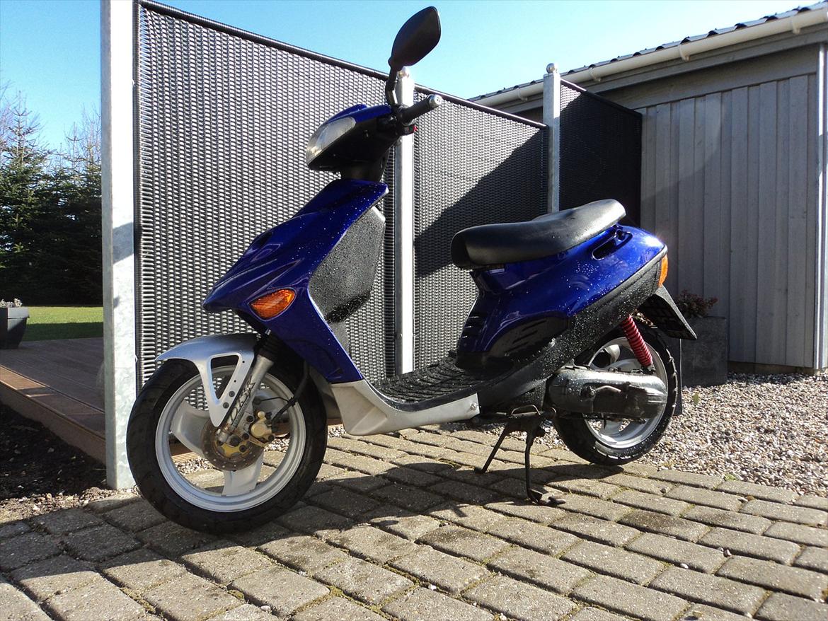 Adly Silverfox solgt billede 1