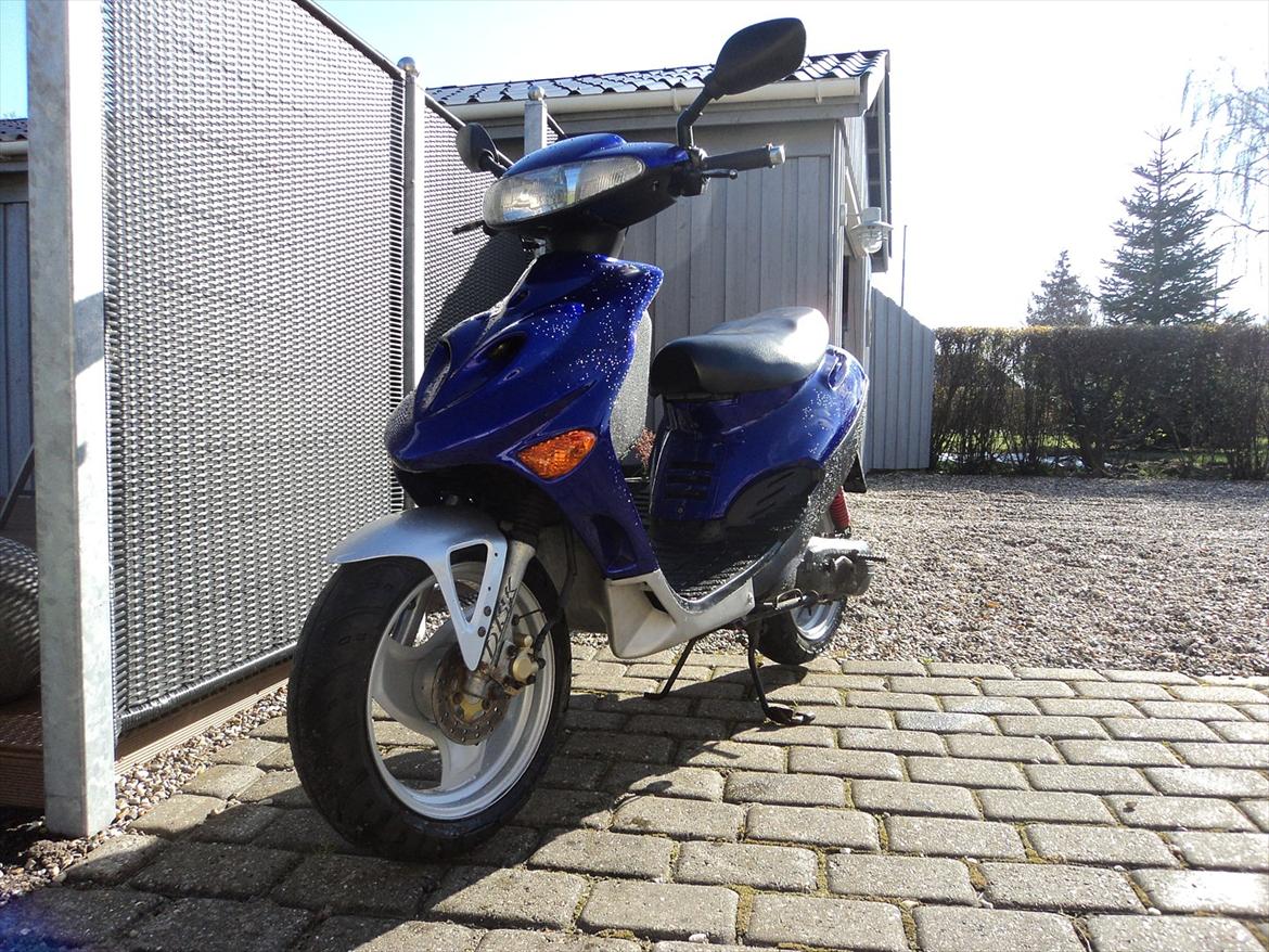 Adly Silverfox solgt billede 2