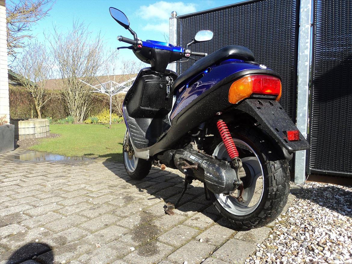 Adly Silverfox solgt billede 3