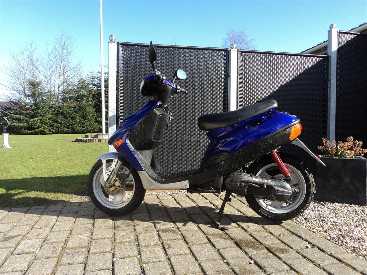 Adly Silverfox solgt billede 4