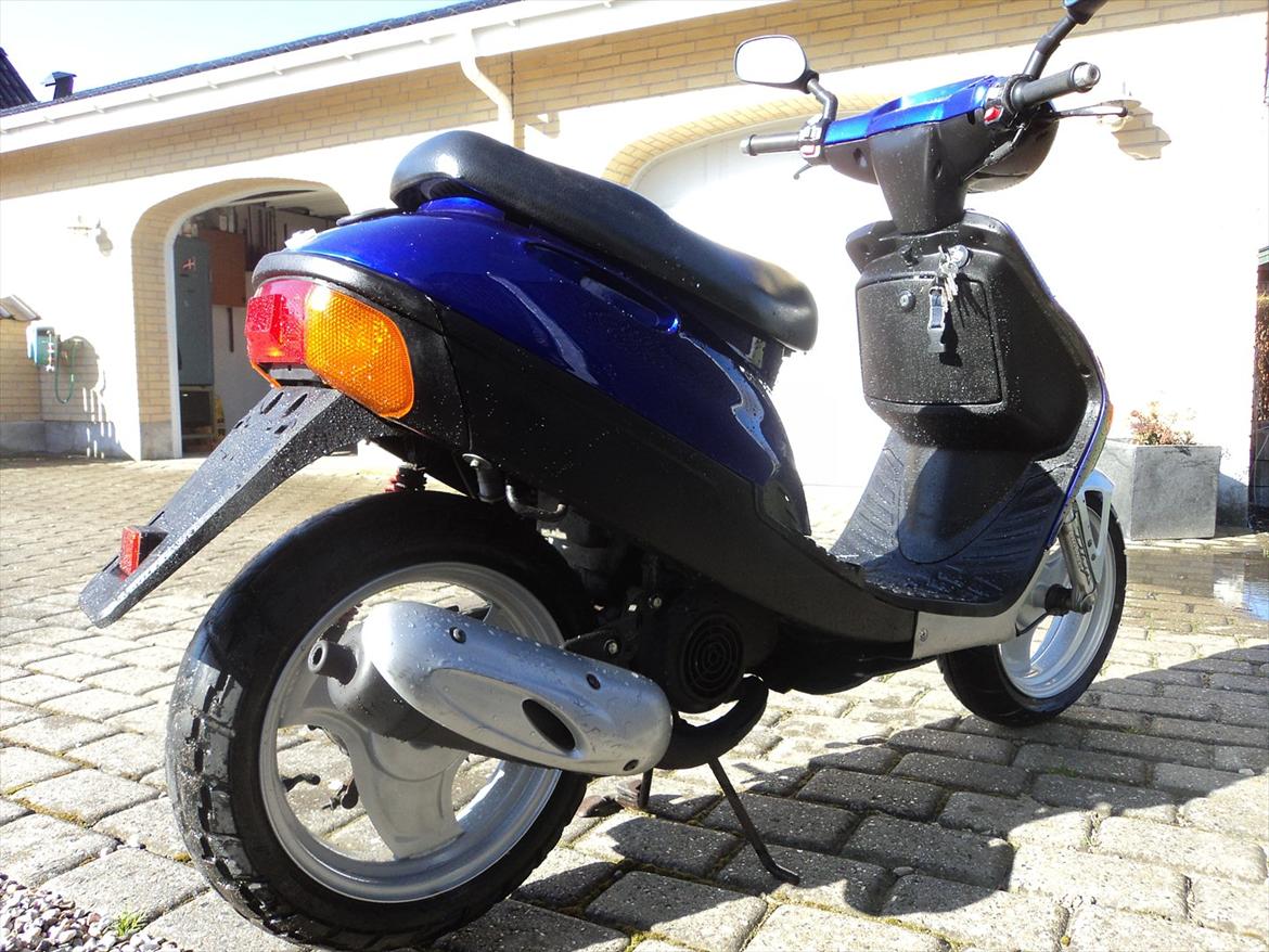 Adly Silverfox solgt billede 5