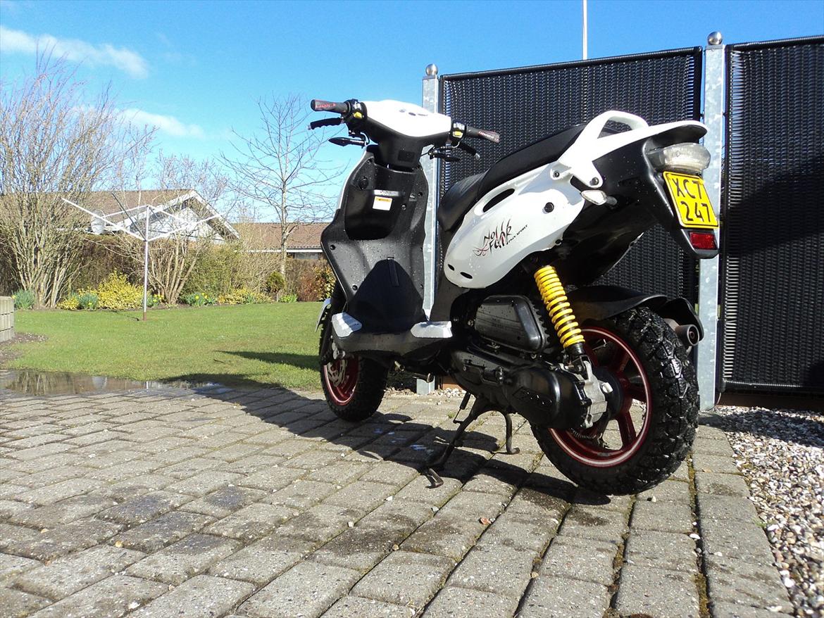 PGO PMX No Fear. solgt billede 2