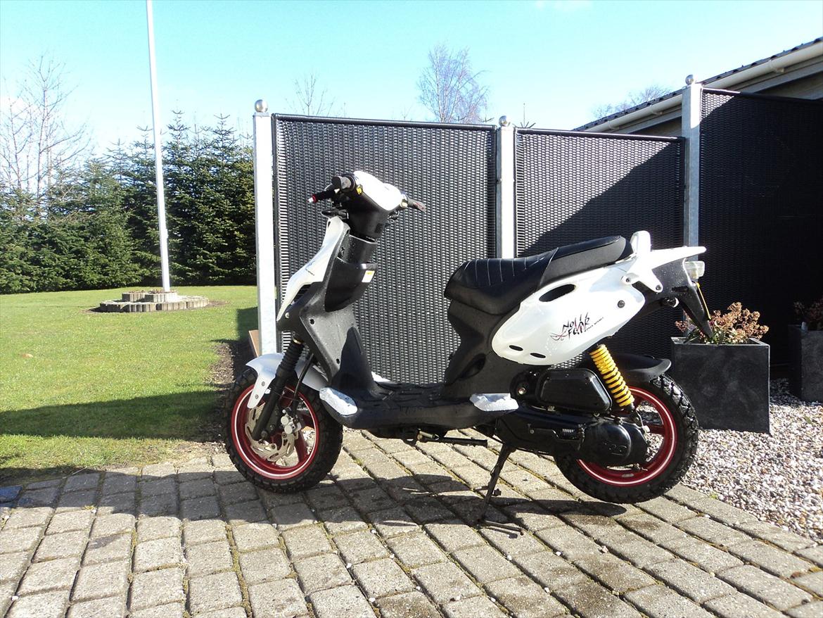 PGO PMX No Fear. solgt billede 3