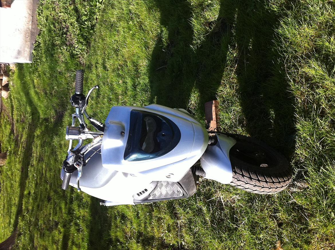 PGO Hot 50 ( tidl scooter) billede 1