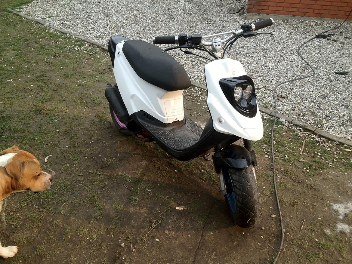 PGO Hot 50 - Den har lidt forskelligt maling her (: 
ER ÆNDRET NU :D billede 10