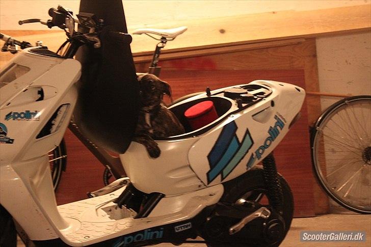 Aprilia Sonic Polini Evo billede 7