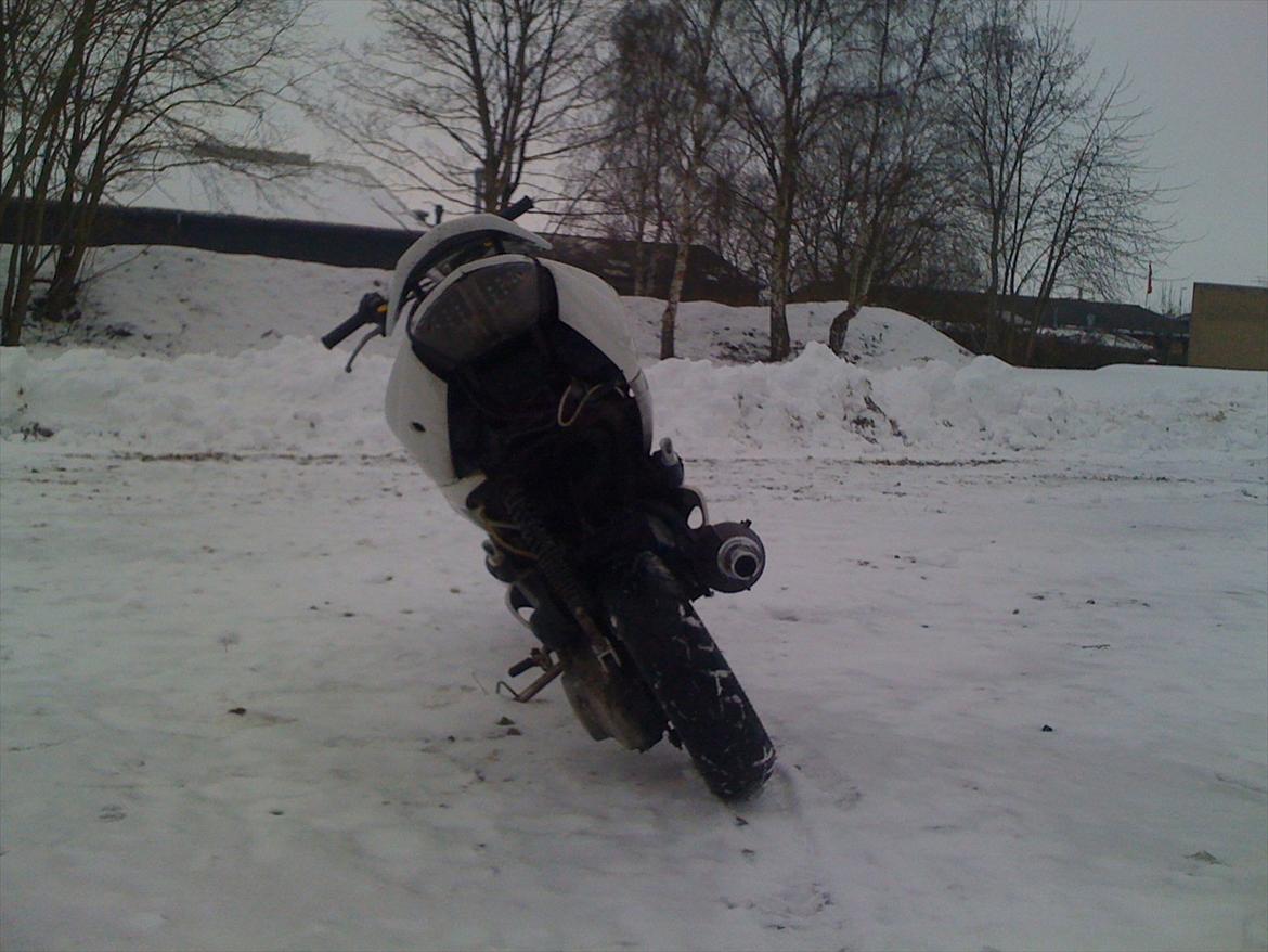 Peugeot Speedfight 2 billede 5