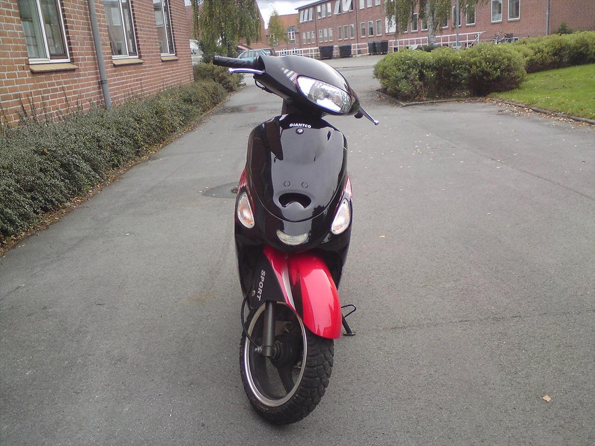 Giantco Sprint billede 5