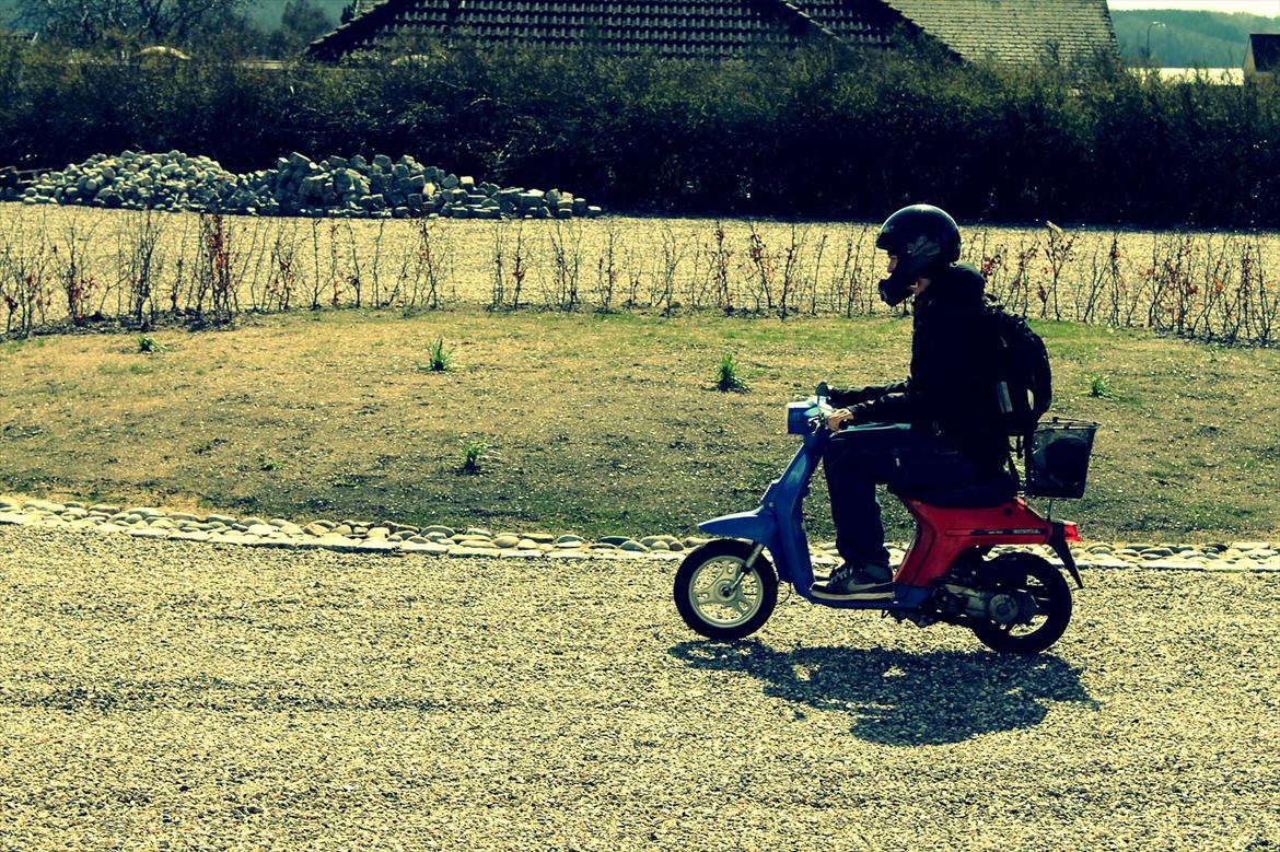 Honda Melody - Man kan ikke prale med den er stor ihvertfald. Det skal siges at jeg er 1.95 høj.  billede 4