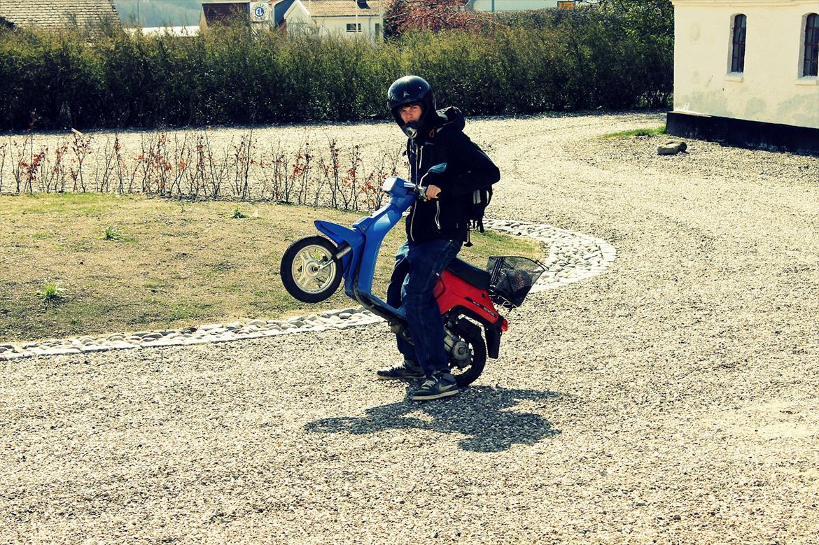 Honda Melody - Don't fuck billede 6