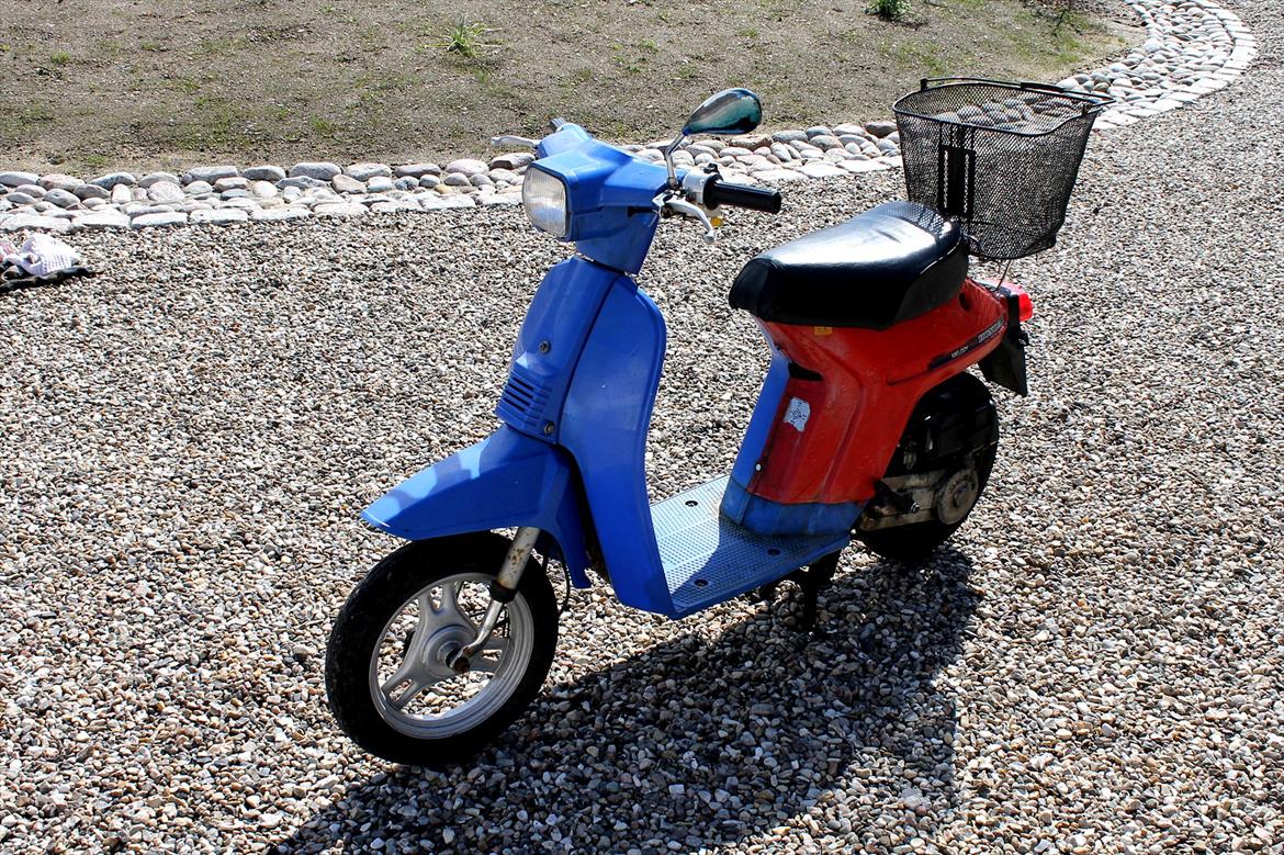 Honda Melody billede 8