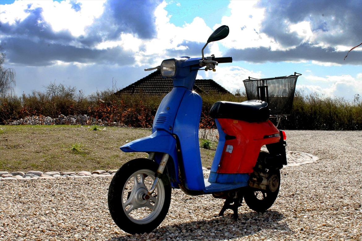 Honda Melody billede 1