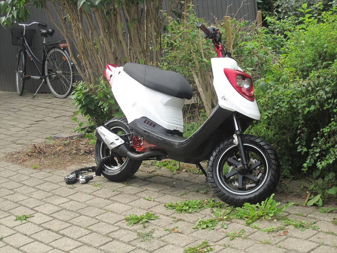 PGO Hot 70cc - Fin var hun sgu! billede 5