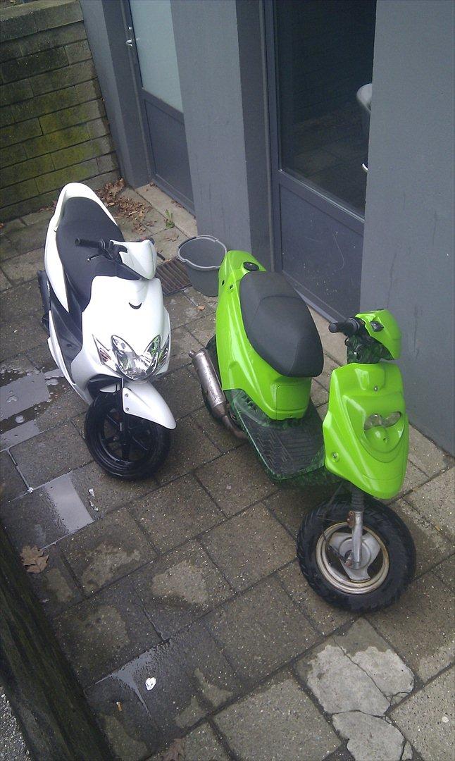 PGO Hot 50 billede 7