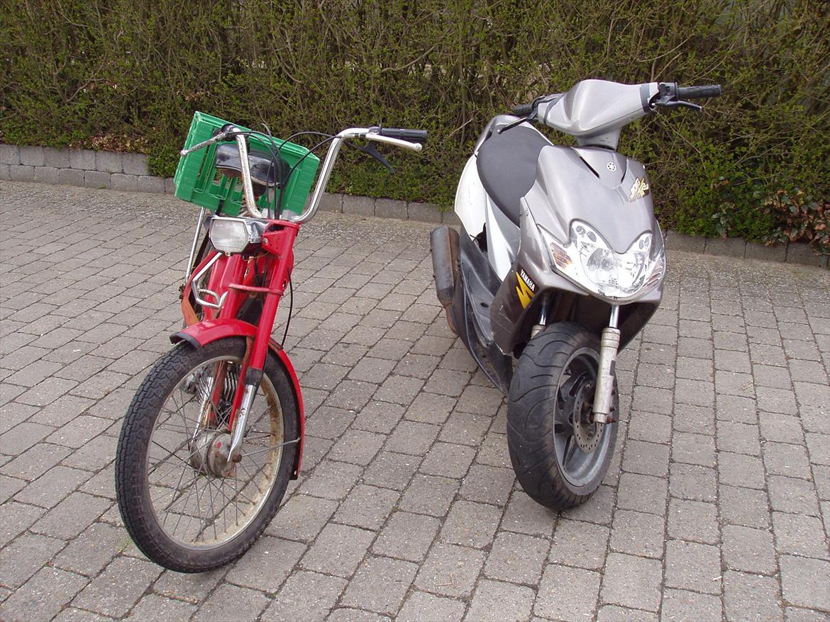 Puch Maxi K - Min Puch Maxi K og Brors Jog r billede 12