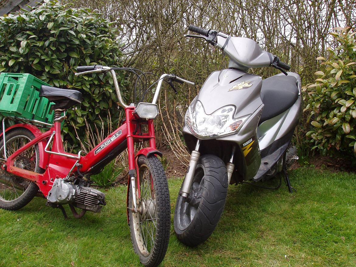Puch Maxi K - Min Puch Maxi K og Brors Jog r billede 14