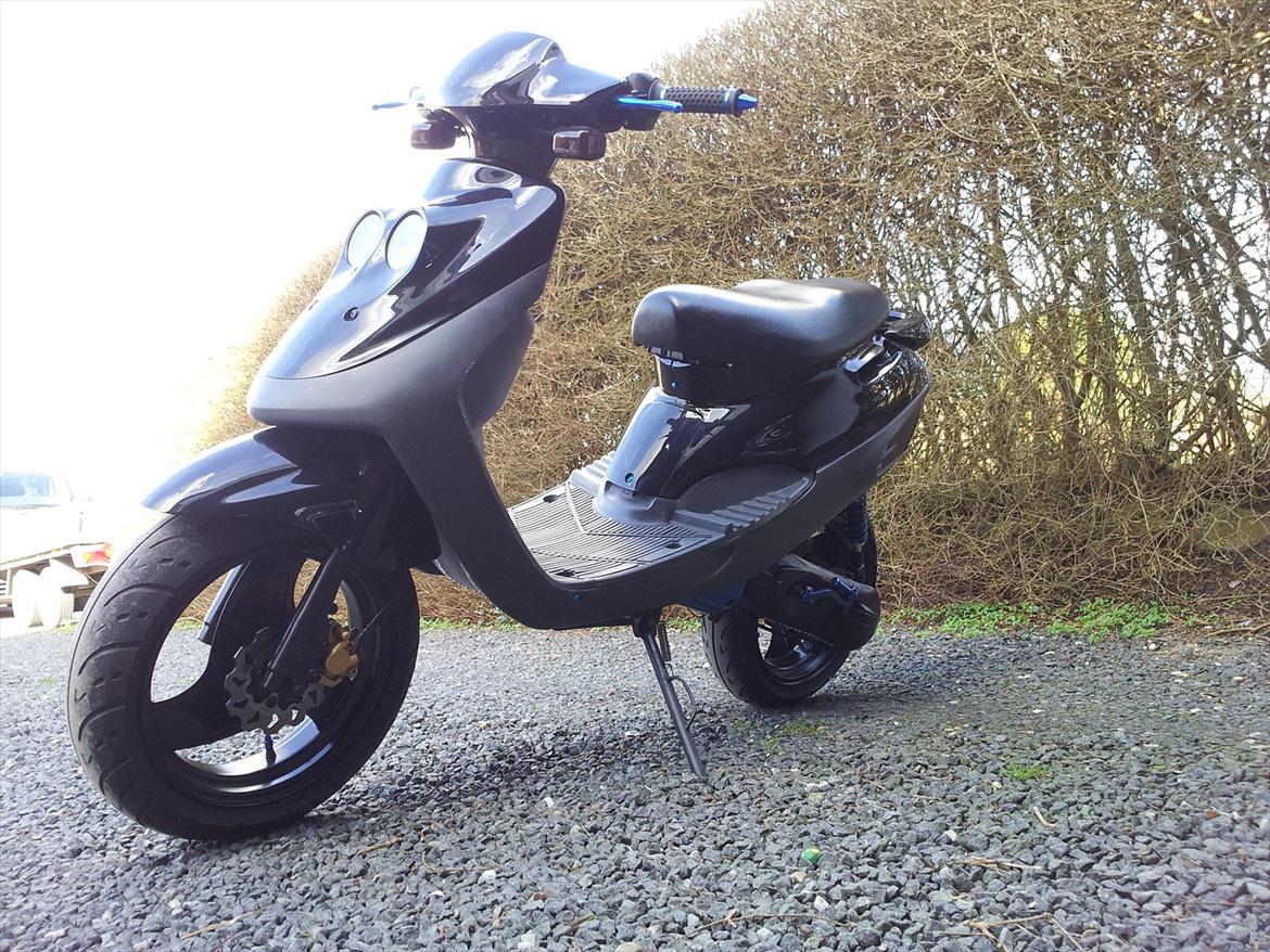 Adly Cat 50 billede 11