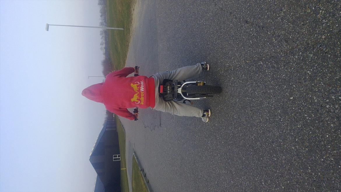 Shineray XY50 #Tyson#  billede 5