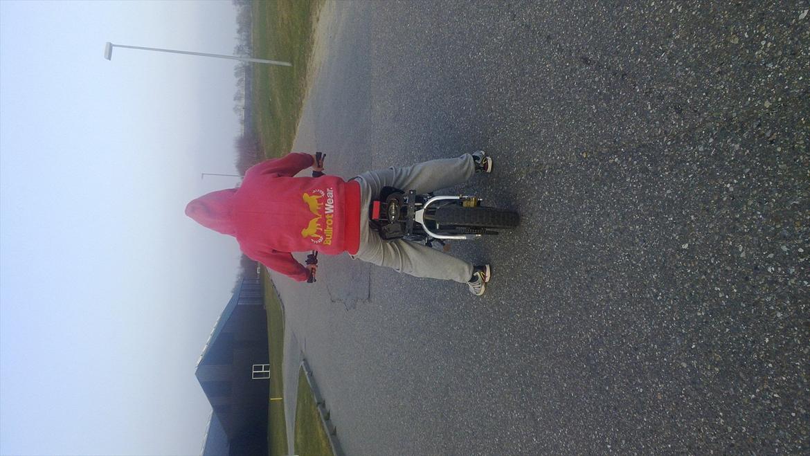 Shineray XY50 #Tyson#  billede 6