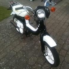Suzuki FZ50