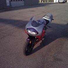 Aprilia rs 50