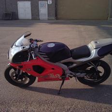 Aprilia rs 50