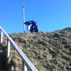 Yamaha Slider (TILSALG)