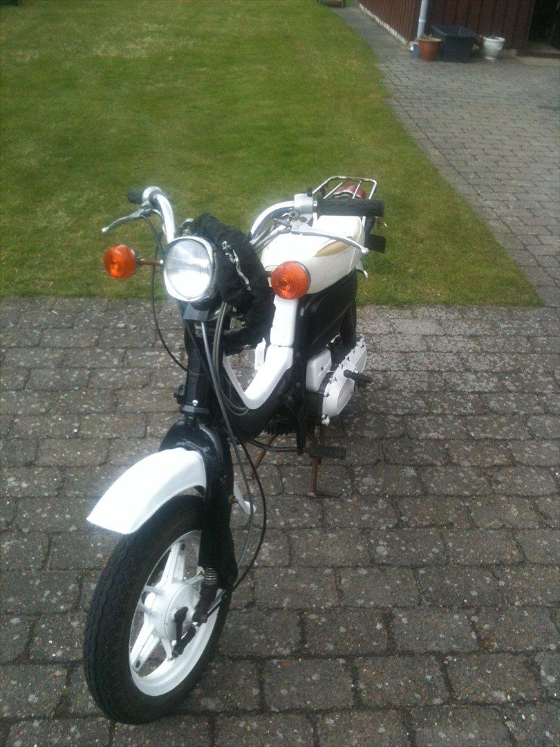 Suzuki FZ50 billede 2