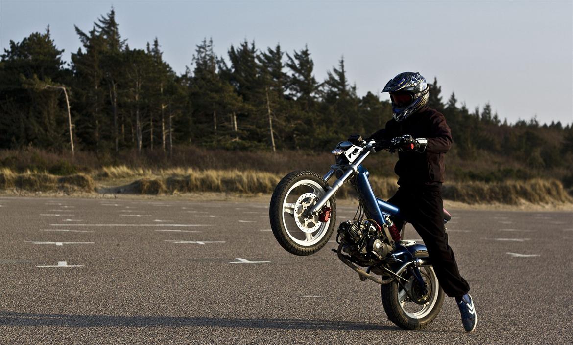 Sachs MadAss billede 12