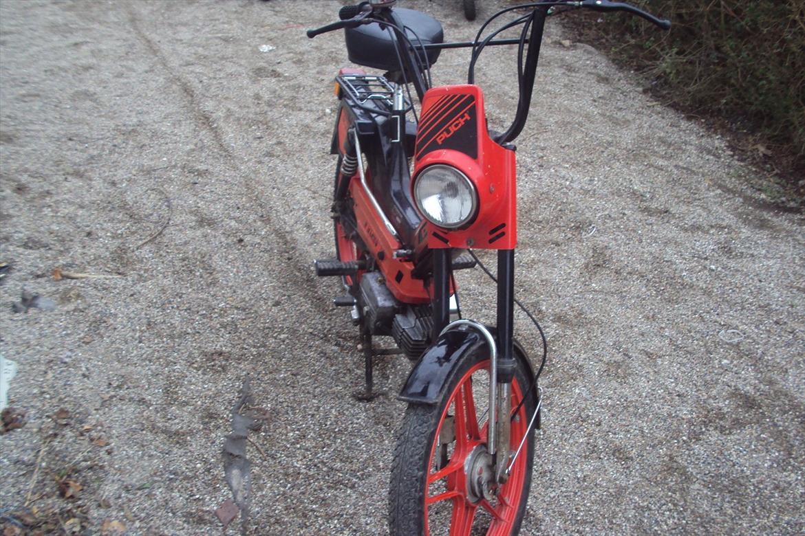 Puch maxi 2g marcho rider billede 5