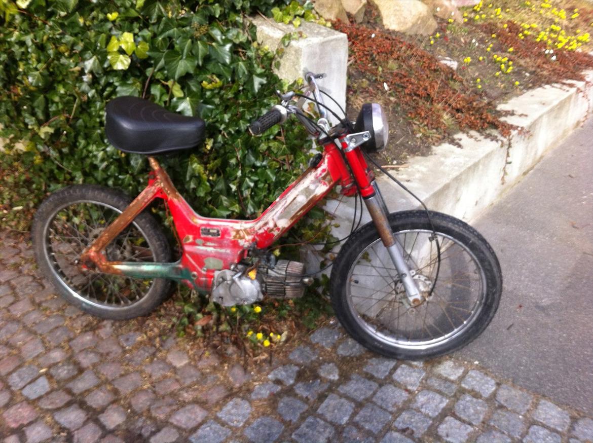 Puch Maxi P billede 6