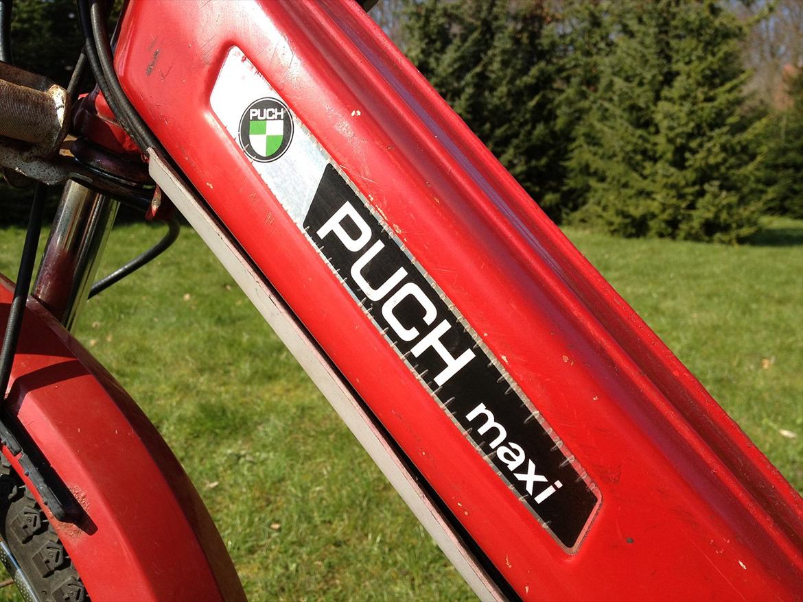 Puch Maxi K billede 5