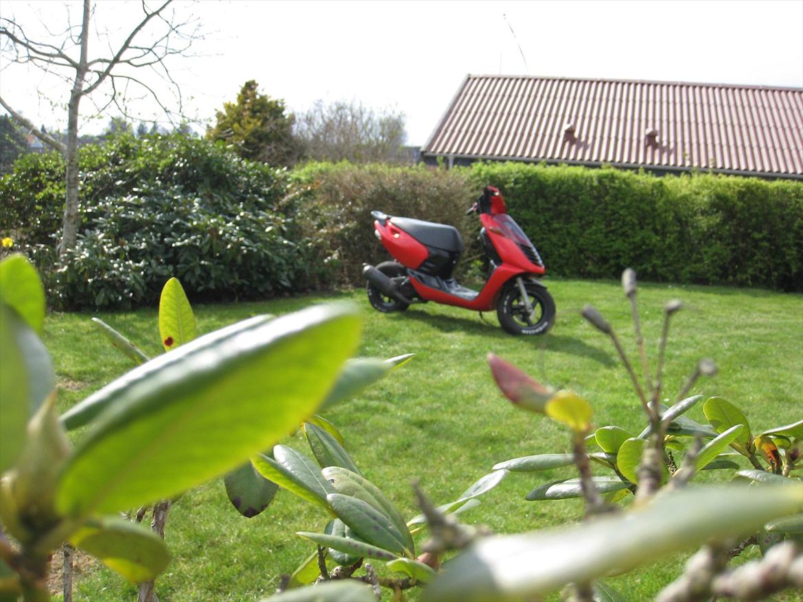 Aprilia Sonic "Det røde lyn" billede 17